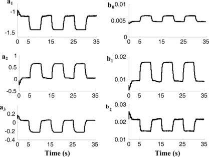 FIGURE 7 Parameter estimations pertaining to Figure 6 (experiment).