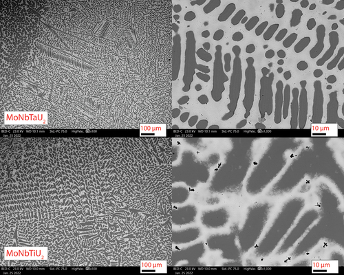 Fig. 3. Backscatter SEM micrographs of the MoNbTaU2 and MoNbTiU2 alloys. Annotated scale bars are in units of micrometers. Both alloys have dendritic-type precipitates (dark gray) made up of the refractory elements with a U-rich matrix (light gray). The MoNbTaU2 alloy was a two-phase system of the matrix and the dendrites whereas the MoNbTiU2 alloy had both of those phases along with Ti precipitates.