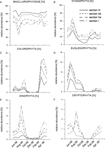 Fig. 6. Temporal and spatial variation of relative MPB abundance in the four sections of the transect from May 2008 to May 2009. The y-axes in Figs 6C–F are different due to lower relative species abundances. (A) Heterokontophyta (Bacillariophyceae), (B) Cyanophyta, (C) Chlorophyta, (D) Euglenophyta, (E) Dinophyta and (F) Cryptophyta.