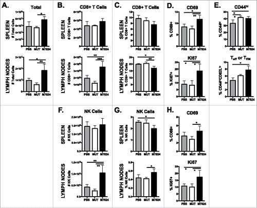 Figure 2. M7824 increases CD8+ and NK cell numbers in the lymph nodes and promotes their activation in non-tumor-bearing mice. Naïve Balb/c mice received MUT or M7824 i.p. on days 0, 2, and 4. Immune populations in the spleen and lymph nodes were analyzed by flow cytometry 3 or 7 days after the final treatment. Graphs show number of total cells (A), CD8+ T cells (B), and NK cells (F) or frequency (of total live cells) of CD8+ T cells (C), and NK cells (G) 3 days after last treatment. Phenotype of CD8+ T cells (D) and NK cells (H) was determined in the spleen 3 days after the last treatment. Maturation (CD44/CD62 L expression) of CD8+ T cells (E) was determined in the spleen 7 days after the last treatment. All graphs show mean ± SD. Data combined from 2 independent experiments, n = 3-5 mice per experiment.
