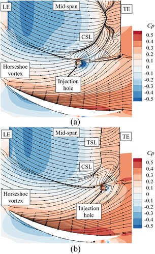 Figure 35. Distribution of Cp and limiting streamlines of pulsed endwall air injection (PEAI) cases at different injection locations (St = 0.975, A¯ = 1.22): (a) Lead-PEAI case; (b) Trail-PEAI case. LE = leading edge; TE = trailing edge; CSL = corner separation line; TSL = trailing separation line.