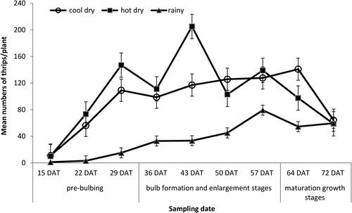 Figure 2. Mean number of thrips per plant in cool dry, hot dry and rainy seasons on unprotected plot in 2016/2017. Error bars show SEs.