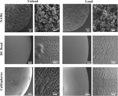 Figure 4. SEM images of NAMs, DC Bead and Callispheres microspheres before/after doxorubicin loading. The scale bar is 5 μm for the left and 500 nm for the right.