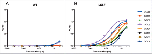 Figure 4. Detection of WT and L55F VLPs by Fabs. ELISAs were performed with serial dilutions of Fab proteins using plates coated with 1 μg/ml of WT VLPs (A) or L55F VLPs (B). Data from L55F-binding ELISAs were fit to a 4-parameter logistic equation.