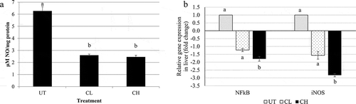 Figure 3. (a) Nitric oxide (NO) content and (b) quantitative polymerase chain reaction analyses of inflammation related genes [nuclear factor-κB (NFκB) and inducible nitric oxide synthase (iNOS)] of untreated (UT) mice and mice fed 0.08 ml/kg body weight (BW) coconut water vinegar (CL) or 2 ml/kg BW coconut water vinegar (CH). Data are presented as the mean ± SD of biologically replicated mice from the same treatment group. Different letters indicate significant differences among groups (p < 0.05).