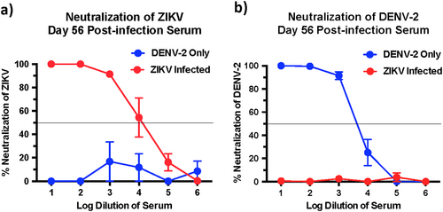 Fig. 2 ZIKV-infected animals display little or no cross-neutralizing antibody responses against DENV-2.Percentage neutralization of (a) ZIKV and (b) DENV-2 by serum that was collected longitudinally from DENV-2 only (ZIKV naïve) (n = 4) and ZIKV-infected animals prior to DENV-2 infection (n = 5). Line represents PRNT50 titres