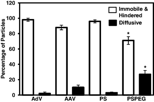 Figure 3. Transport mode distributions of adenovirus (AdV) adeno-associated virus (AAV5, serotype 5), muco-adhesive PS control nanoparticles (PS) and muco-inert control PS-PEG nanoparticles. Particles were classified into either (i) immobile or hindered and (ii) diffusive. Mean ± SD are shown. *Statistically significant difference when compared with AAV5, AdV or PS within the same transport mode classification (p < 0.05). Redrawn using data from Ref. [Citation41].