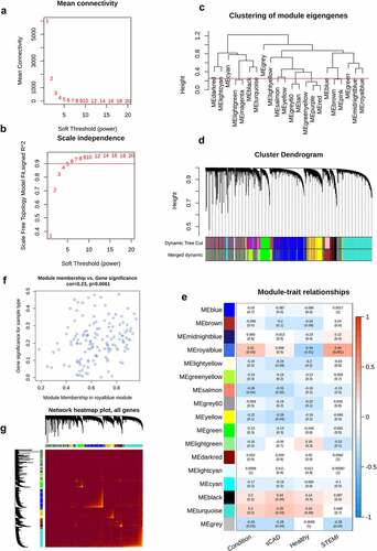 Figure 4. WGCNA analysis of STEMI. The mean connectivity and scale independence value as a function of soft threshold (power) were depicted (a, b); the red line indicated the cutoff of scale independence of 0.9. (c) Clustering dendrogram of modules; red line indicates the threshold of merging modules. (d) Modules before or after merging and clustering. (e) The heatmap depicted the correlation scores (digit in the box above) as well as its corresponding P-value (digit in the box below) of modules (rows) and clinical traits (columns). The correlation of module membership and gene significance, as well as the correlation among all genes, were visualized in (f) and (g)