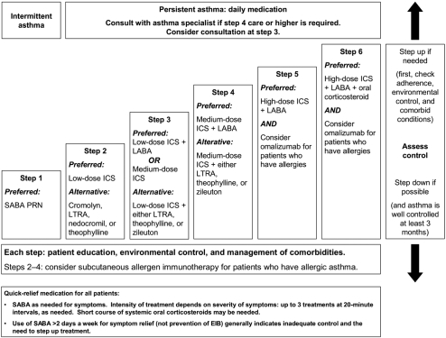 Figure 1 Asthma management approach based on control for adults and adolescents 12 years of age and older.