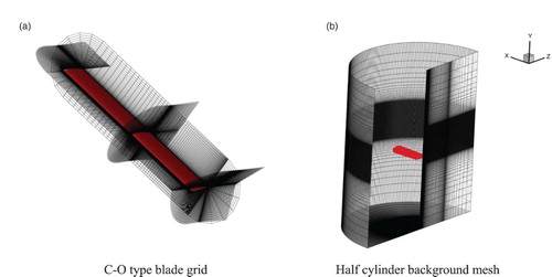 Figure 6. Overset grid system for the hover case: (a) C-O-type blade grid and (b) half-cylinder background mesh.