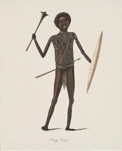 Figure 10. Richard Browne, Ningi Ningi, 1817–22, watercolour and gouache. State Library of New South Wales.