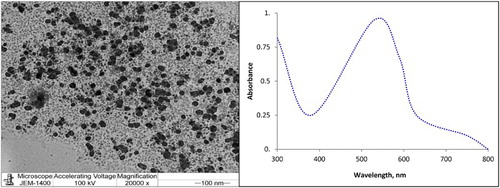 Figure 2. (a) TEM image of AuNPs and (b) UV-absorption spectrum of AuNPs.