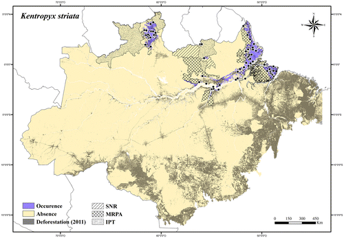 Figure 108. Occurrence area and records of Kentropyx striata in the Brazilian Amazonia, showing the overlap with protected and deforested areas.