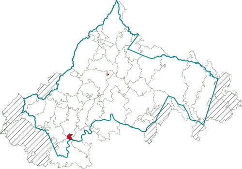 Fig. 2 Map showing the 9 ZCTAs that were excluded from the stratification analysis. ZCTAs 24581 and 22904 (colored solid red) were excluded due to their unusual populations for our purposes (only 33 people and transient student population, respectively). ZCTAs 22952, 24483, 23015, 24521, 23192, 23102, and 23038 (shaded with diagonal lines) were excluded following the allocation factor analysis which identified them as ZCTAs with allocations factors ≤0.200.