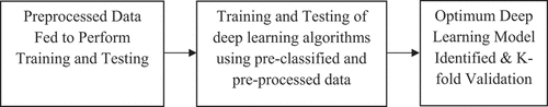 Figure 6. Procedure for training and testing of the deep learning algorithm.