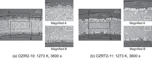 Figure 9. Metallographs of the transverse cross-sections of the high-burnup low-tin ZIRLO and Zircaloy-2 (LK3) cladding tube specimens after being oxidized at 1273 K for 3600 s.