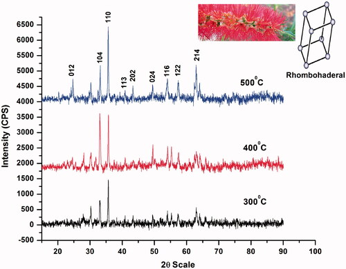 Figure 3. XRD spectra of biogenic IONPs after annealing them at various temperatures.