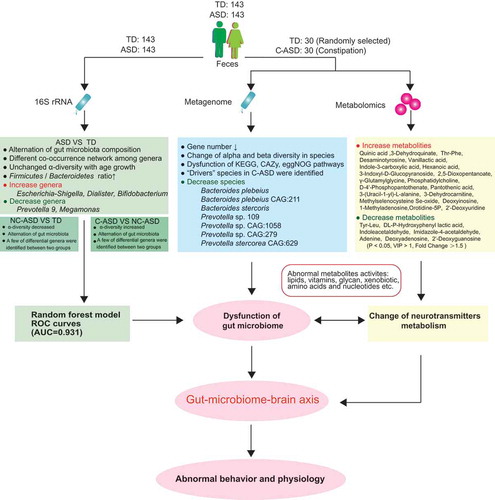 Figure 7. The summary of gut microbiota composition and metabolism analysis between ASD and TD.