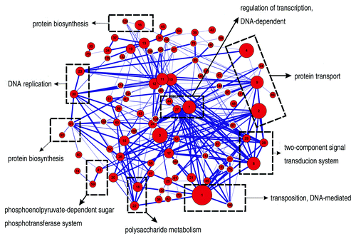 Figure 2. Relations among predicted modules. Red node in the network represents a module. Node radius is proportional to the module’s size. Node labels represent module number. Edges represent at least two PPIs among modules. Modules in dashed rectangle have same GO biological process term with each other.