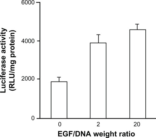 Figure 7 In vivo gene expression in MCF-7/EGFR tumor tissues 24 hours post-intravenous injection of nonmodified activated dendriplexes and activated EGF-dendriplexes at EGF/DNA weight ratio of 2 and 20.Note: Mean ± standard deviation (n = 3) of Renilla luciferase activity is shown.
