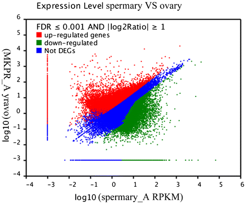 Fig. 4. Analysis of the DEGs between the ovary and spermary, including the 19,511 upregulated and 25,911 downregulated genes in the spermary.