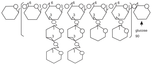 Figure 1 Schematic structure of β-glucan.
