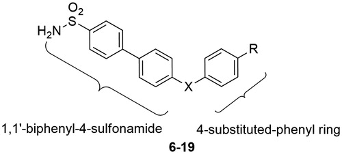 Figure 2. General structure of 4,4′-biphenylsulfonamides 6–19.
