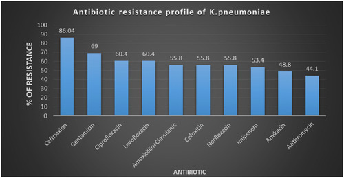 Figure 1 Antibiotic resistance profile of K. pneumoniae.