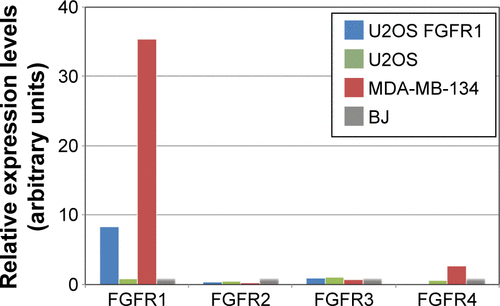 Figure S1 FGFRs mRNA expression levels in studied cell lines.