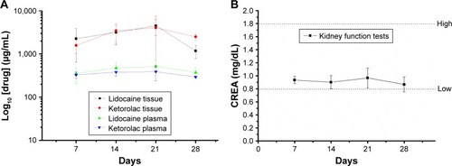 Figure 8 In vivo lidocaine and ketorolac elution.Notes: (A) Concentrations of lidocaine and ketorolac in the animal’s plasma and local tissue. (B) Serum creatinine levels during the study period.Abbreviation: CREA, creatinine.