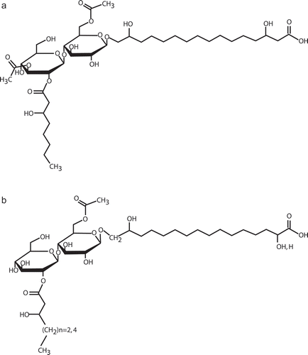 Fig. 3. Chemical structure of (A) flocculosin and (B) ustilagic acid produced by Pseudozyma flocculosa and Ustilago maydis, respectively.