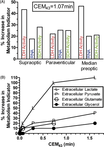Fig 6. Changes in rat brain metabolism immediately after whole body hyperthermia. (A) Metabolic changes were assessed by lactate dehydrogenase (LDH) and succinate dehydrogenase (SDH) activity and RNA content at CEM43 = 1.07 min in three rat brain regions Citation[20], and (B) metabolic changes vs. CEM43, as assessed by extracellular brain lactate, pyruvate, glutamate, and glycerol concentrations vs. CEM43 Citation[8].