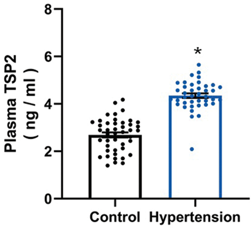 Figure 1. The levels of circulating TSP2 in healthy subjects (control) and subjects with newly-diagnosed essential hypertension (*P＜0.01 vs. control). TSP2, thrombospondin 2.