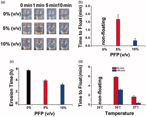 Figure 4. (a) Floating process of gels encapsulating 0%, 5% and 10% PFP recorded by camera at 37 °C; (b) time to float of gels at 37 °C; (c) erosion time of gels at 37 °C; (d) time to float of gels at 20, 30 and 37 °C.