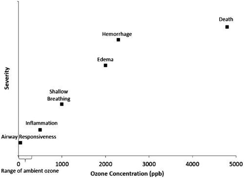 Figure 1. O3 concentration-response from animal studies – the dose makes the poison. O3 concentration (in ppb) versus severity of response Depuydt et al., Citation1999; Dye et al., Citation1999; Mittler et al., Citation1956; Scheel et al., Citation1959; Schelegle et al., Citation2001; Stokinger, Citation1957.