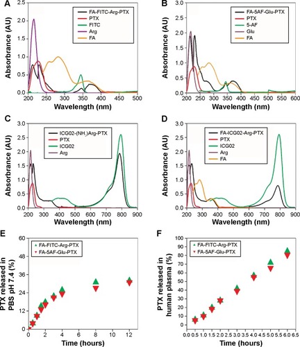 Figure 2 Characterization of multi-small molecule-conjugated paclitaxel prodrugs.Notes: (A) Absorption peaks of FA-FITC-Arg-PTX prodrug formulation overlaps the peaks of FA, Arg, PTX, and FITC at 365 nm, 220 nm, 227 nm, 375 nm, and 780 nm, respectively. (B) Absorption spectra for the FA-5AF-Glu-PTX formulation. The absorption peaks at 365 nm, 220 nm, 227 nm, and 465 nm represent absorption of FA, Glu, PTX, and 5AF, respectively. (C) Absorption spectra of ICG02-(NH2)Arg-PTX formulation at 220 nm, 227 nm, and 780 nm represent absorption of Arg, FA, and ICG-Der-02, respectively. (D) Absorption peaks of FA-ICG02-Arg-PTX formulation at 365 nm, 220 nm, 227 nm, and 780 nm represent absorption of FA, Arg, PTX, and ICG-Der-02, respectively. (E) Release of free PTX from FA-FITC-Arg-PTX and FA-5AF-Glu-PTX in phosphate-buffered saline. (F) Release of free PTX from FA-FITC-Arg-PTX and FA-5AF-Glu-PTX in human plasma.Abbreviations: 5AF, 5-aminofluorescein; FA, folic acid; FITC, fluorescein isothiocyanate; PTX, paclitaxel; Arg, arginine; Glu, glutamic acid.