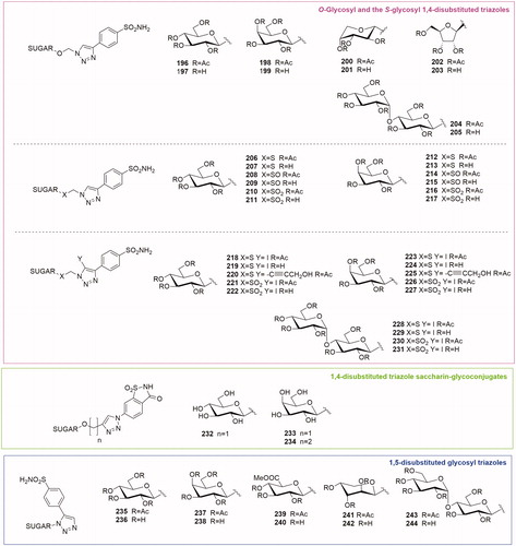 Figure 9. General structures of O-Glycosyl and the S-glycosyl 1,4-disubstituted triazoles, 1,4-disubstituted triazole saccharin-glycoconjugates and 1,5-disubstituted glycosyl triazoles.