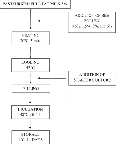 Figure 1. The flow diagram of probiotic yogurt production with bee pollen.