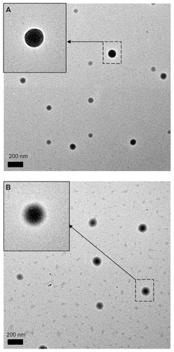 Figure 2 Transmission electron microscopic images of (A) PLGA nanoparticles and (B) PLGA-PEG nanoparticles with magnification 9600×.Note: The insets indicated by arrows have a magnification 19,000×.Abbreviations: PEG, poly(ethylene glycol); PLGA, poly(D,L-lactide-co-glycolide).