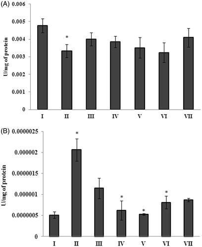 Figure 4. Gelidiella acerosa benzene extract restores the alteration in the level of catalase (A) and SOD (B) activity in mice treated with Aβ 25–35. *p < 0.05 [Comparisons were made between groups II (Aβ 25–35 peptide treated) Vs I (CMC treated) & III (Aβ 25–35 peptide +200 mg/kg of extract in CMC), IV (Aβ 25–35 peptide +400 mg/kg of extract in CMC), V (400 mg/kgbw of extract), VI (Aβ 25–35 peptide + donepezil), VII (1 mg/kg bw of donepezil) Vs II (Aβ 25–35 peptide treated)].
