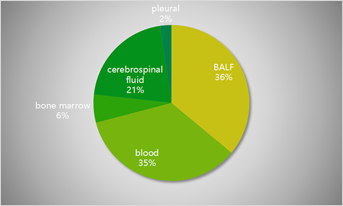 Figure 1 The proportion of samples in this study.