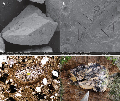 Figure 10. A – SEM image of an interactive particle, a glassy pyroclasts with fractured texture and blocky, non-vesicular appearance indicating MFCI process to be responsible for its formation; B – Close up view of a glassy pyroclasts from Orakei Basin maar showing surface textural features (arrows) suggest brittle fragmentation caused by magma-water explosive interaction; C – Thin section view (plane parallel light) of an accretionary lapilli (ac) from a fine grained tuff of the Crater Hill tuff ring succession. The image is about 1 mm across; D – A peperitic domain as a lapilli in the basal tuff ring sequence of the Mangere Mountain (Auckland Volcanic Field)