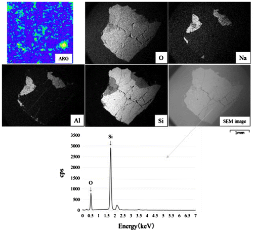 Figure 14. The elemental distribution and X-ray spectrum of a cross section of particle No. 13.