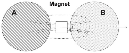 Figure 1 Experimental set-up for cell migration assay. Cell cultures were incubated with MNP-modified medium (A) and MNP-free medium (B).Abbreviation: MNP, magnetic nanoparticle.