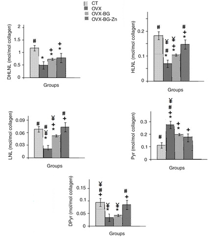 Fig. 2 Comparison of the contents of enzymatic collagen cross-links in femur of control rat, ovariectomized rat (OVX), ovariectomizd and implanted with bioactive glass (OVX-BG), ovariectomizd and implanted with Zinc doped bioactive glass (OVX-BG-Zn) *Significantly less enzymatic activity in the indicated group versus the control group, +versus the ovariectomized group (OVX) and #versus the ovariectomized group and implanted with bioactive glass (OVX-BG), ¥versus the ovariectomized group and implanted with zinc-doped bioactive glass (OVX-BG-Zn).