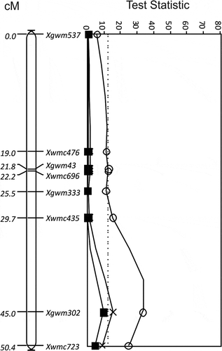 Fig. 3 The LOD for QTL for resistance to Ustilago tritici identified for Glenlea/Taber chromosome 7B with races T2 (■, solid line), T9 (○, solid line) and T15 (×, solid line). The MQTL Test Statistic threshold is shown as a straight dotted line for the P = 0.05 level of significance for the most conservative threshold.