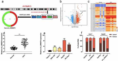 Figure 1. Circ_0008274 expression is significantly up-regulated in HCC tissues and cells