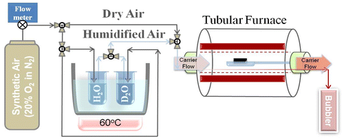 Figure 3. Schematic of apparatus used to anneal samples in humidified ambient.
