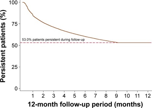 Figure 1 Kaplan–Meier curve for insulin persistence during follow-up period.