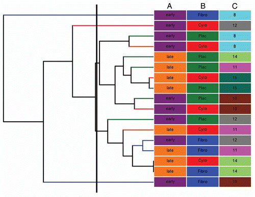 Figure 2 Cluster analysis for placenta, isolated cytotrophoblasts and fibroblasts. Non-hierarchical Euclidean cluster analysis was performed based on gestational age [Column A: 14–16 weeks (early); 17–18 weeks (late)], type of sample [Column B: fibroblast (Fibro), cytotrophoblast (Cyto) and whole placenta (Plac)] and sample number (Column C). The degree of similarity between two samples is given by the sum of the length of the horizontal lines between the samples. We chose the fourth branching to define the clusters (marked by the thick vertical line). There is no clustering by gestational age or sample. The sample type analysis reveals two main clusters: one composed of only cytotrophoblasts and placenta and the other contains mainly fibroblasts. The other three clusters contains only one sample each and may be due to the reduced number of significantly detected probes (24–25,000 vs. > 27,000) for these samples.
